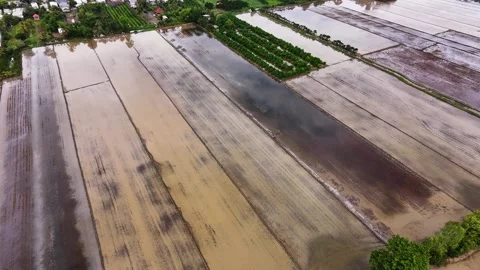 Cloudy sky reflecting on muddy fields after harvest Stock Footage 339998157