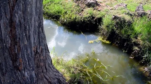 Cloudy sky reflection in a small lake in a countryside. Video stock 80219256