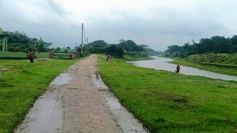 Cloudy Sky, River Water Waves, and Dirt Road in Natural Bangladesh River Landsca Stock Footage 315817993