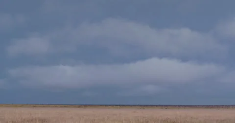 A cloudy sky in the savannah grasslands Stock Footage 314780315