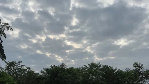 Cloudy sky with silhouetted trees with sound of small homestead Stock Footage 325762493