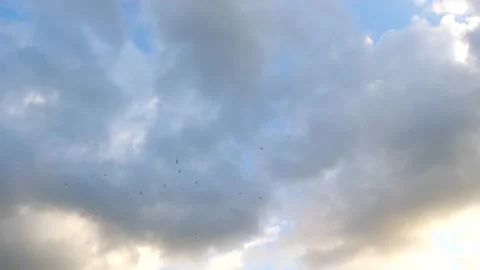 Cloudy sky with some birds Stock Footage 236993454