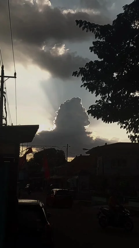 Cloudy Sky, Street, Tree, Silhouette, in Vertical Stock Footage 307704223