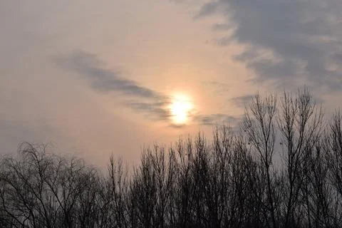 Cloudy sky with sun above leafless trees Stock Photos