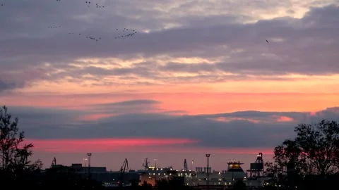 Cloudy sky at sunrise with flying birds - natural sky background - real time Stock Footage 155241693