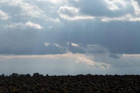 Cloudy sky at sunset in cloudy weather with small rays of the sun Stock Photos