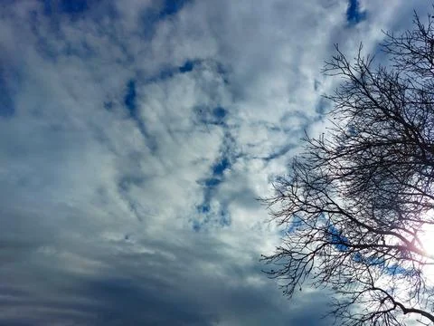 Cloudy sky at sunset, sun rays through tree branches Stock Photos