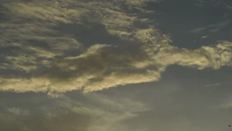 Cloudy sky at sunset time in Miami Beach with birds passing by 스톡 동영상 135355366