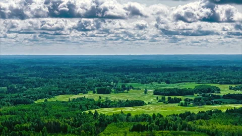 Cloudy sky timelapse shadow over green forest nature country park outdoor Stock Footage 313899751