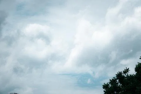 A cloudy sky with a tree in the background Stock Photos