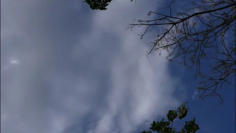 Cloudy Sky with Tree Branches in Bhimtal Stock Footage 334328390