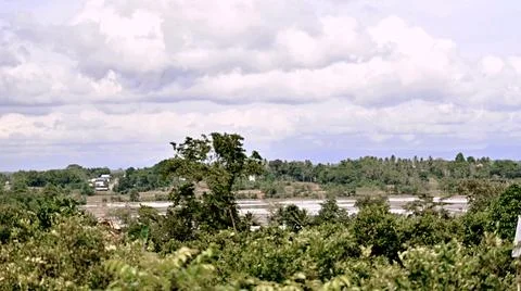 A cloudy sky with a tree in the foreground Stock Photos