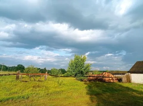 A cloudy sky with a tree in the foreground Stock Photos