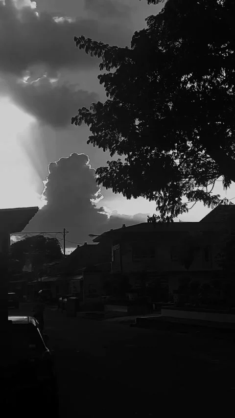 Cloudy Sky with Tree Silhouette, BNW Vertical Stock Footage 307704238