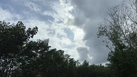 Cloudy sky with trees and blue patches Stock Footage 325826799