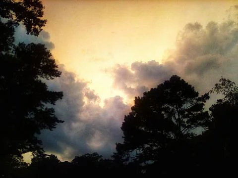 Cloudy Sky With Trees During Late Evening Time 库存照片