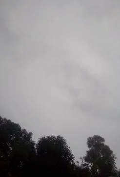 Cloudy Sky with Trees Stock Photos