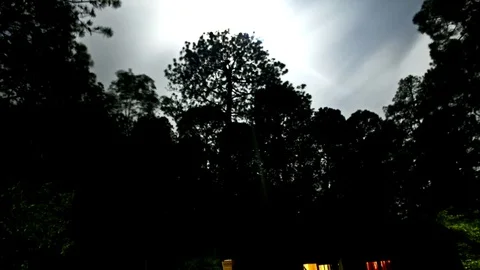 Cloudy sky in the woods - time lapse 動画素材 75732977