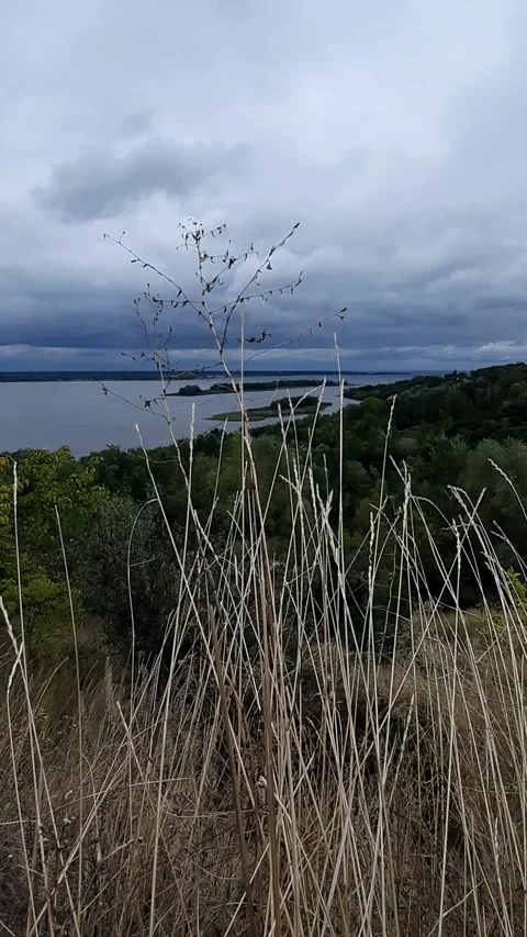 Cloudy spring day overlooking river. Vertical video. Stock Footage 236055553