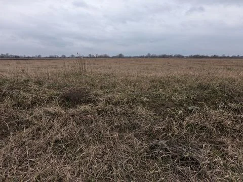 Cloudy spring evening. Cloudy countryside landscape. Wilted field grass. Stock Photos