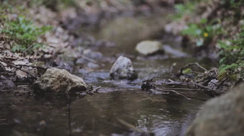 Cloudy spring mountain river Stock Footage 48864293