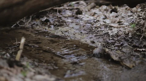 Cloudy spring mountain river Stock Footage 48867803