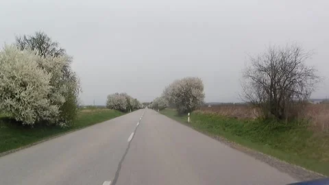 Cloudy spring road ride in lowlands of Southern Slovakia, flowering trees around 库存影片 331957894