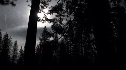 Cloudy Storm Approaching Timelapse with American Flag/Forest Stock Footage 46696526