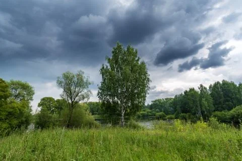 Cloudy summer landscape with trees, lawn and lake Stock Photos