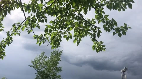 Cloudy summer sky before the rain. Stock Footage 154677358