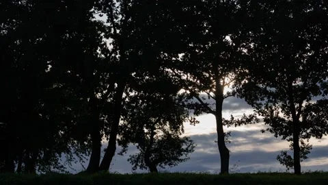 Cloudy sunset behind trees silhouettes Stock Footage 140654349