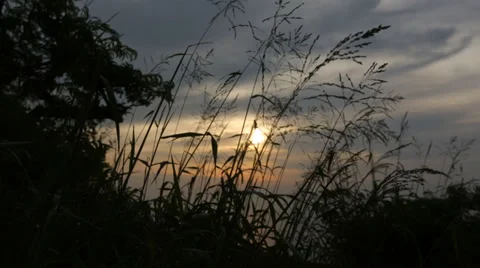 Cloudy Sunset with Grass - Pan Stock Footage 33309180