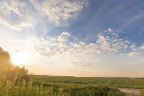 Cloudy sunset over fields summer evening photo Foto stock