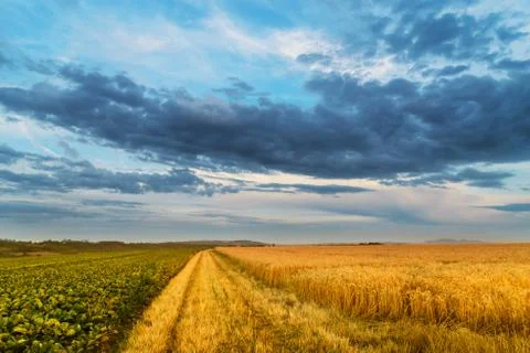 Cloudy sunset over moravia Stock Photos