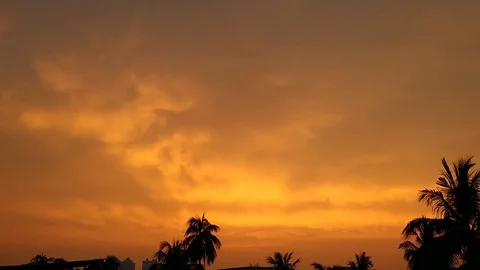 Cloudy Sunset &amp; Palm Leaves Stock Footage 111222259
