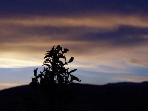 Cloudy sunset Stock Photos