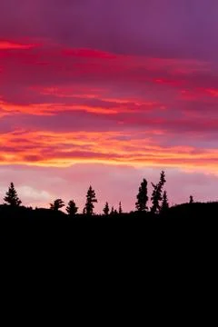 Cloudy sunset sky on fire and silhouette of forest Foto stock