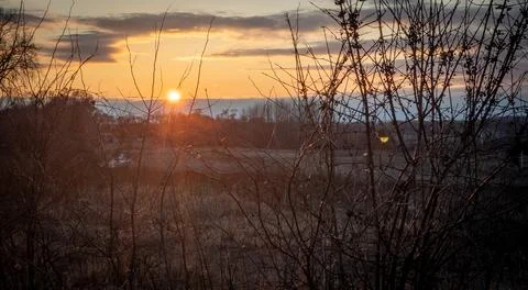 Cloudy Sunset through brush Stock Photos