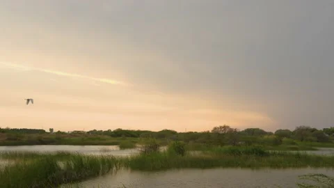 Cloudy sunset wetland Stock Footage 236970294