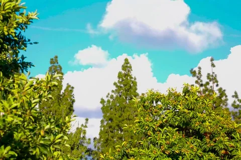 Cloudy Time lapse Stock Footage 74755782