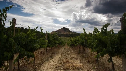 Cloudy timelapse over the mountain and vineyard at summer day Warm weather Stock Footage 96194137