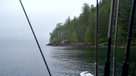 Cloudy tree lined coast shot from sailboat. Video stock 146191486