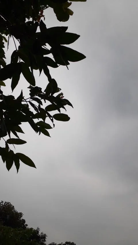 Cloudy twilight at afternoon Video stock 248043119