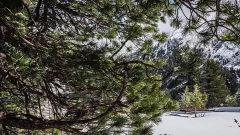 Cloudy Valley Winter Lake Timelapse 4k Stock Footage 75231659