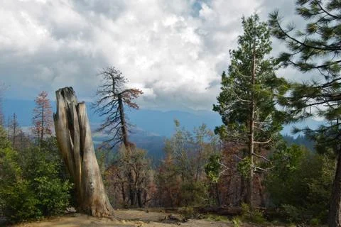 Cloudy views Stock Photos