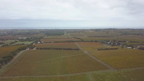 Cloudy vineyard Stock Footage 108570136