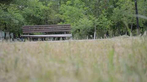 Cloudy weather, Park bench in spring Stock Footage 108804232