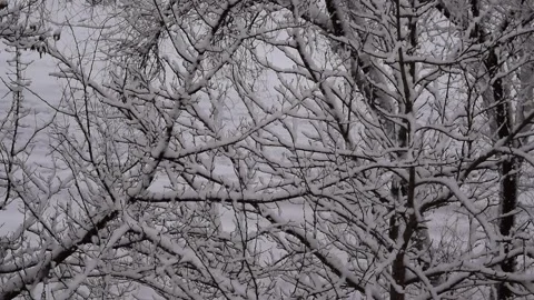 Cloudy weather with snowfall Stock Footage 335203688