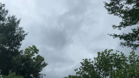 Cloudy Windy Storm Blowing Trees Stock Footage 312006608