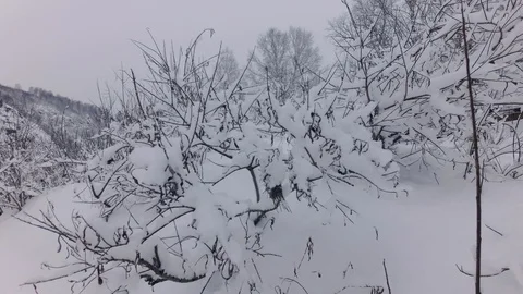 Cloudy winter day Stock Footage 105734439